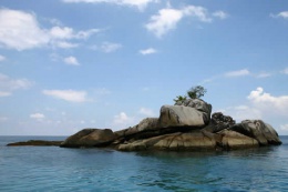 One-tree Island
