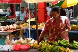 Banana Lady